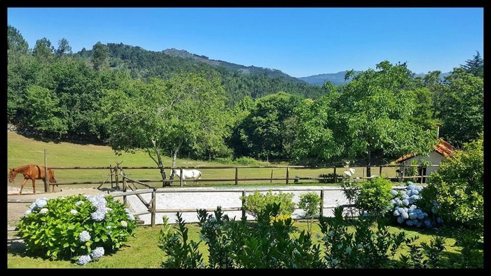 شقة فييرا دو مينهو  في Quinta Da Quinta المظهر الخارجي الصورة